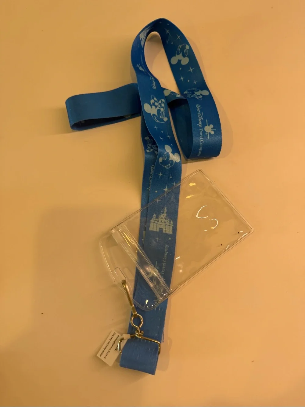 Disney Parks Haul:  Minnie Mouse Ears and more to bring joy to your Disney Day!